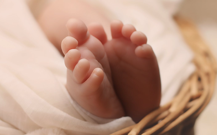 六项激素分别从哪里分泌的?它们各自在怀孕中扮演什么角色?