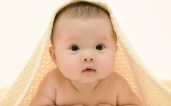 2026山东第三代试管价格多少?助孕费用详情