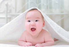 2026年辽宁沈阳三代试管婴儿助孕费用解析