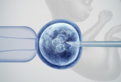 甘肃三代试管婴儿费用解析,含具体费用明细