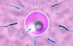 2026珠海三代试管婴儿费用解读，含详细开支