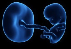 2026江西南昌三代试管助孕费用一览表