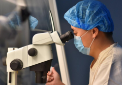 安徽省合肥市三代试管助孕价格，附详细费用参考