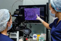 未婚人士能在中山大学附属第六医院做试管吗？完整流程与花费攻略