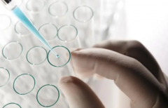 辽宁沈阳第三代试管助孕费用明细表，助你清晰了解费用情况