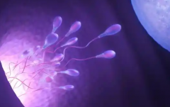 南京市10大助孕机构比较正规比较完美的有哪些？