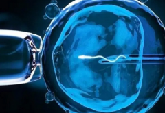 2026年广西省三代试管婴儿生育费用，具体花费明细