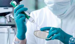 2026年河北石家庄试管助孕费用清单，生孩子流程时间表