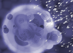 兰州第三代试管婴儿大概多少钱？具体花费明细清单