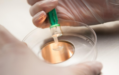 单身人士能在吉大一院做试管婴儿吗？费用与成功率全解析