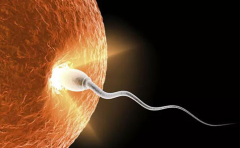 2026年山东济南市三代试管包成功可信吗？真实操作步骤与注意要点