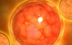 2026贵州省试管婴儿费用明细：真实收费清单公布