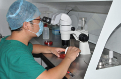 细数石家庄市私人试管婴儿机构：主要分布在长安/桥西等地