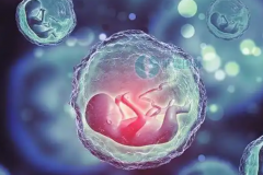 乌鲁木齐做三代试管婴儿费用大概多少？各阶段都花多少？