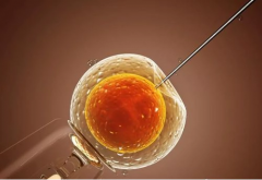 山东省第三代试管婴儿助孕花费分享，大致在10-20万左右