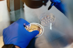 2026哈尔滨三代试管助孕费用汇总，六大项目开支