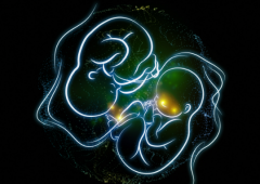 济南私立助孕机构对比：哪家更正规？