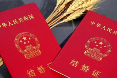 单身人士能在成都西区安琪儿妇产医院做试管婴儿吗？费用与成功率解