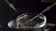 南宁做第三代试管婴儿助孕预计花费多少？详细费用清单