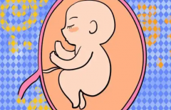 淄博试管婴儿费用明细，淄博做一次全套试管技术费用预估