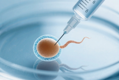 兰州试管婴儿费用明细：兰州试管婴儿费用约3-10万左右