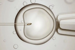 大连做试管婴儿的全部费用大概是多少 | 大连做试管总收费约3-8万