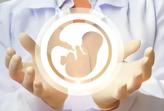 2026山东三代试管婴儿费用明细一览，一文掌握