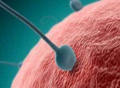 2026年合肥做三代试管婴儿费用总览：大约7-15万