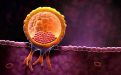 辽宁第三代试管婴儿的费用大概是多少？大约3-8万左右