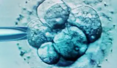 2026年郑州做试管助孕生孩子的费用需准备多少钱？含费用明细标准