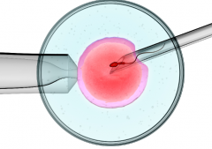 河池做第三代试管婴儿的总费用是多少（河池三代试管费用明细表一览