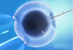 南宁试管婴儿助孕生孩子费用解析：需要准备多少钱