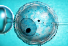 2026年度荆门三代试管婴儿费用参考，试管流程总览