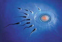 2026年张家口做试管婴儿费用大约多少？各阶段费用明细