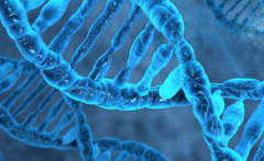 2026年在西安做三代试管生孩子的整体价格多少钱一次？费用明细解析