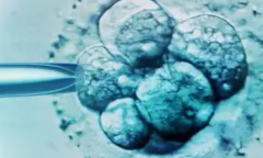 2026年在枣庄做试管婴儿大概多少钱一次，一文为你详解