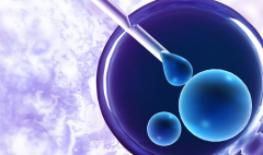 2026年张家口做试管婴儿花多少钱？包含哪些项目