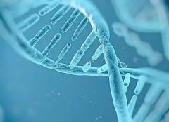 吉林能做三代试管技术的医院全解析，医院名单发布