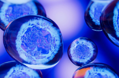 取卵后腹水症状全解析：如何识别与应对