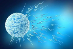 山西临汾三代试管助孕花销详情解析