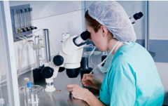 无结婚证在平顶山妇幼做试管婴儿可行吗？费用及成功率一览