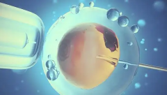 2026年单身女性在秦皇岛市妇幼能做试管婴儿吗？