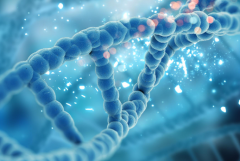 湖南省常德市三代试管助孕生子费用明细一览表