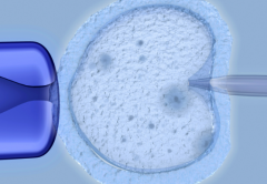 中国第三代试管婴儿费用攻略：想省钱别错过这篇