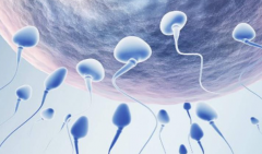 2026吉林省长春市助孕机构盘点，十大值得信赖的正规品牌排行榜揭晓