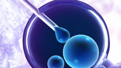 2026年天津中医药大学第一附属医院单身试管助孕费用完整清单