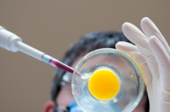 国内第三代试管婴儿费用介绍：价格透明，无额外开销