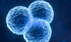 天津助孕生孩子私立医院名单整理：靠谱的机构推荐