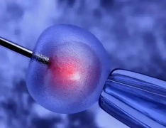 合肥2026年试管婴儿手术费用全解析，费用/成功分别是多少？