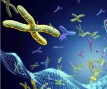 【山东数据】本地做三代试管婴儿生孩子的费用解读，一次手术费用约